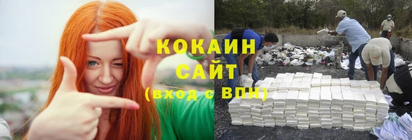 крисы Баксан