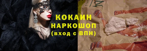крисы Баксан