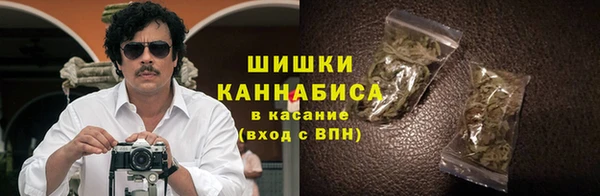 крисы Баксан