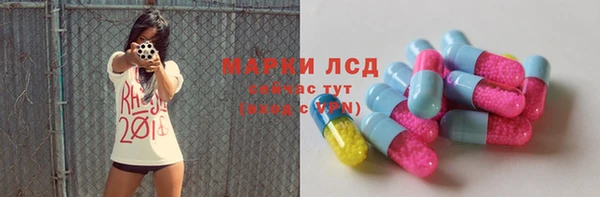 крисы Баксан