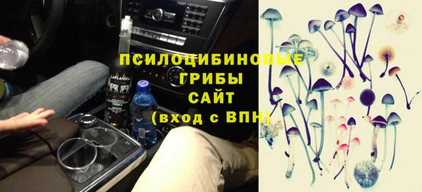 крисы Баксан