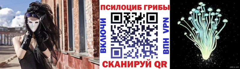 Купить закладки  Корсаков  Псилоцибиновые грибы прущие грибы 